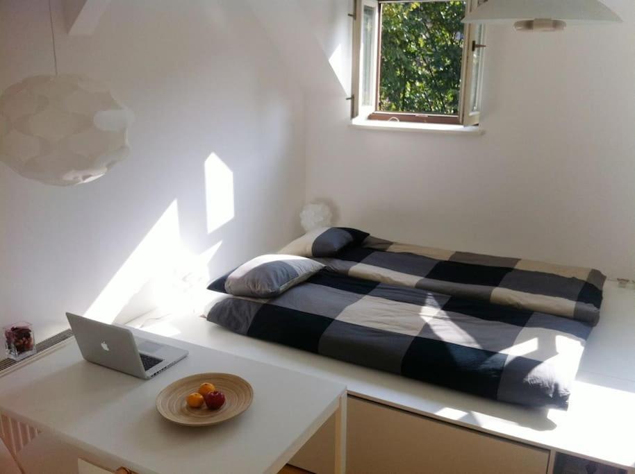 The Cute, Sunny Apartment In The Center +P Laibach Exterior foto