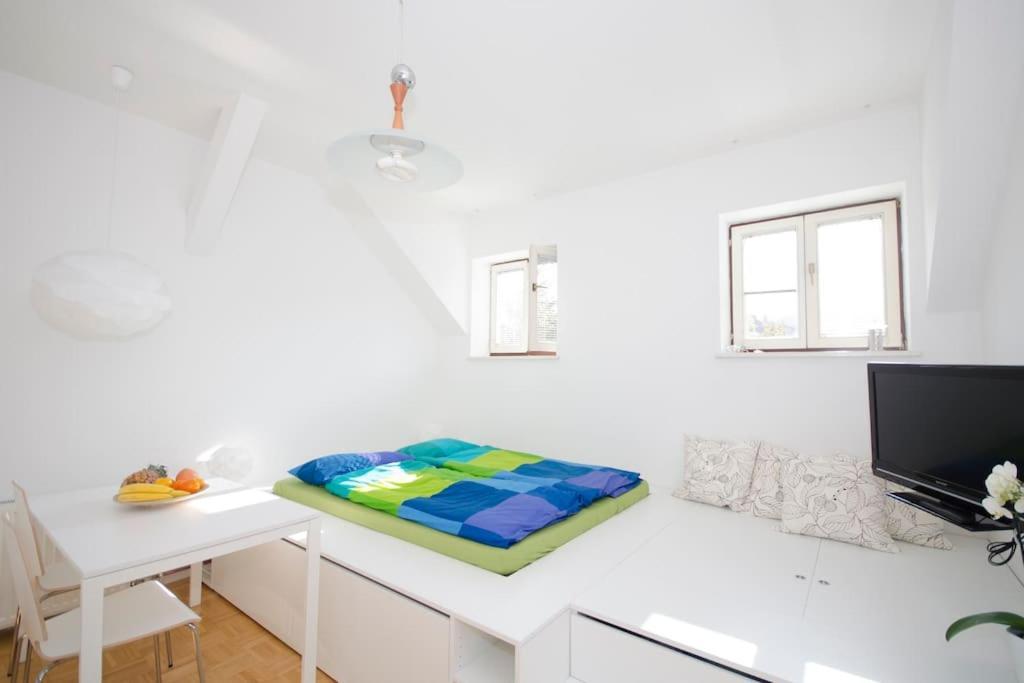 The Cute, Sunny Apartment In The Center +P Laibach Exterior foto