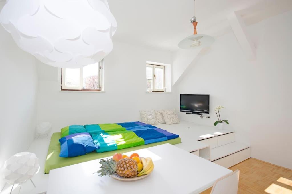 The Cute, Sunny Apartment In The Center +P Laibach Exterior foto