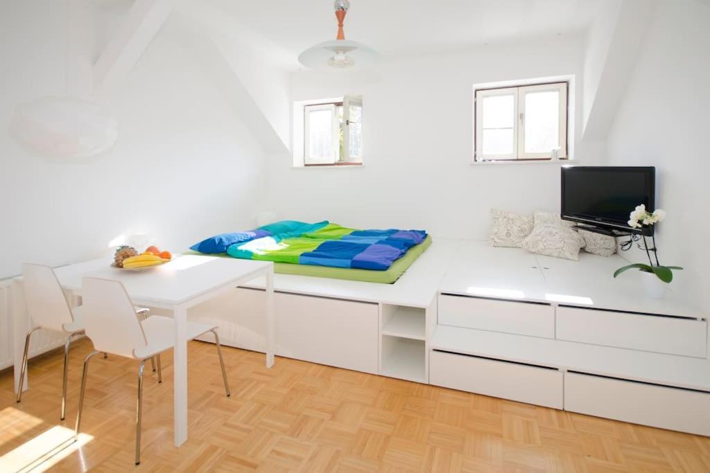 The Cute, Sunny Apartment In The Center +P Laibach Exterior foto