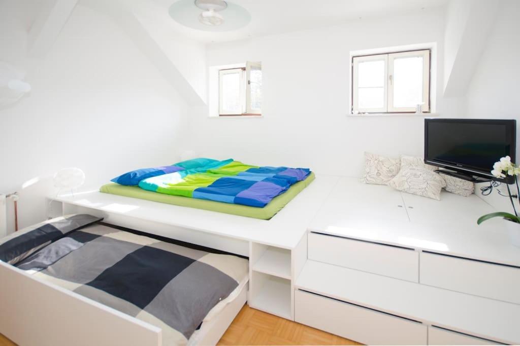 The Cute, Sunny Apartment In The Center +P Laibach Exterior foto
